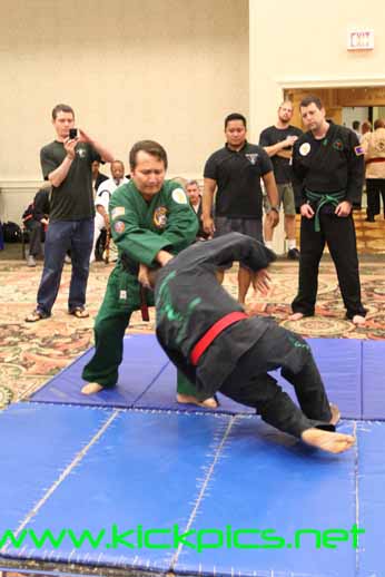KICKPICS - home of the hottest martial arts kicking photos on the planet.